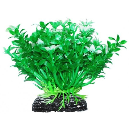 УЮТ Растение аквариумное Микрантемум зелено-белый – интернет-магазин Ле’Муррр
