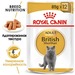 Royal Canin British Shorthair Adult Кусочки паштета в соусе для взрослых кошек Британская короткошерстная – интернет-магазин Ле’Муррр
