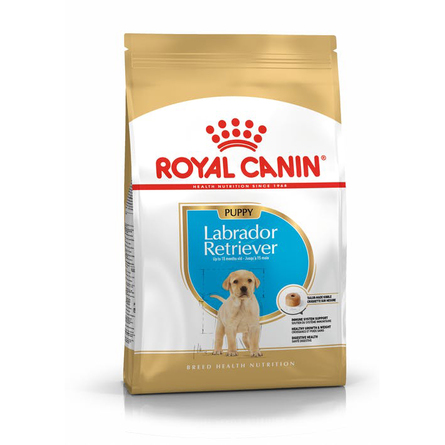 Royal Canin Junior Labrador Retriever Сухой корм для щенков породы Лабрадор Ретривер – интернет-магазин Ле’Муррр